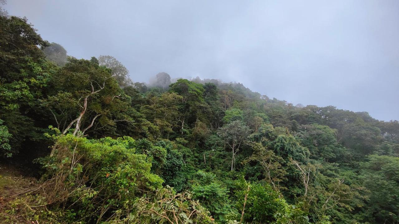 Minca Sintropia - Sustainable Lodge & Organic Coffee Finca 外观 照片