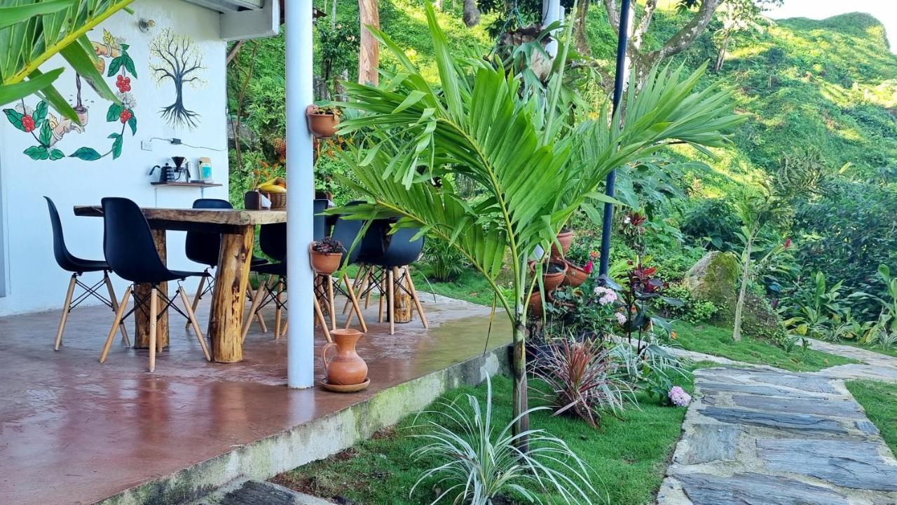 Minca Sintropia - Sustainable Lodge & Organic Coffee Finca 外观 照片