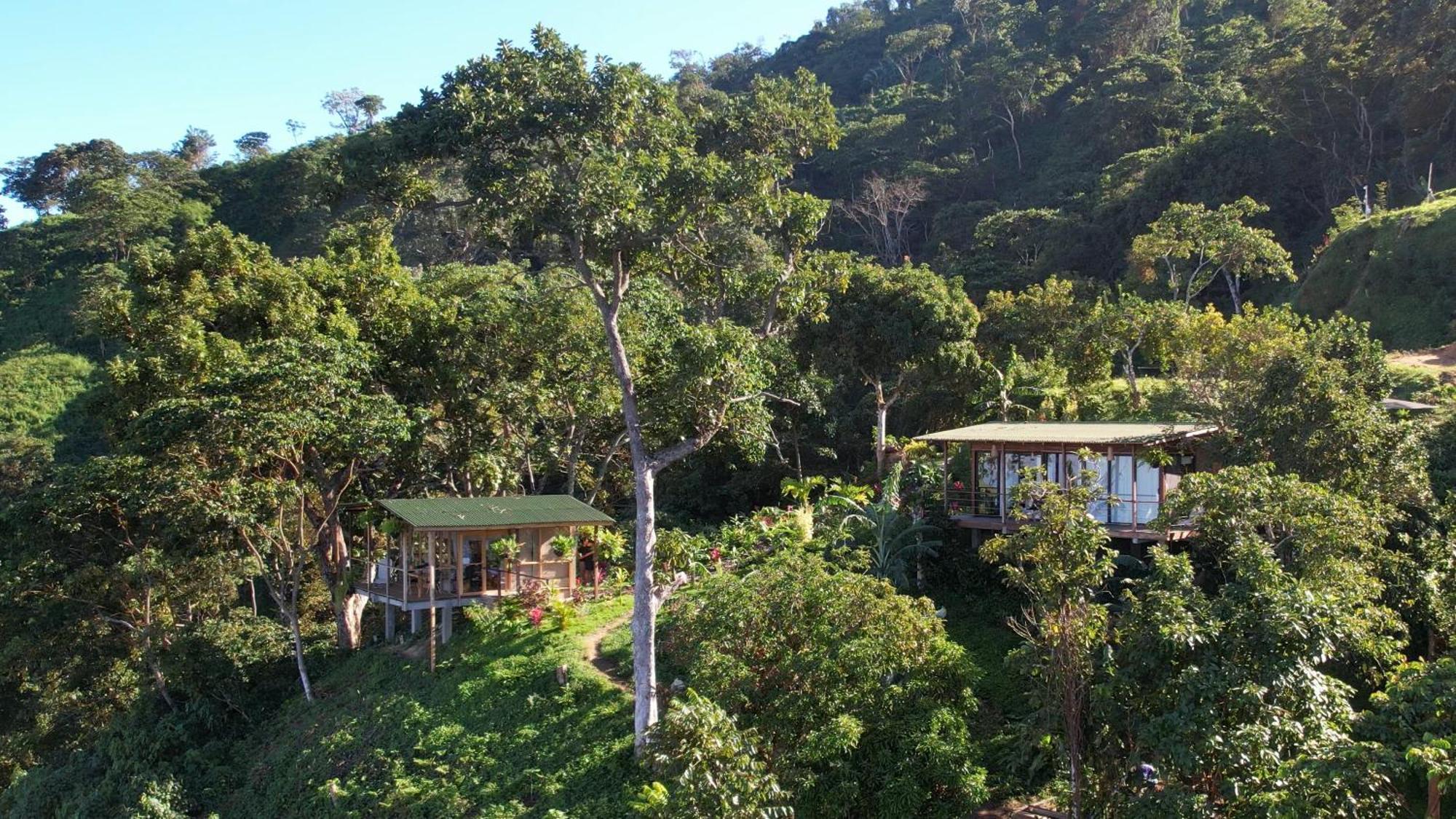 Minca Sintropia - Sustainable Lodge & Organic Coffee Finca 外观 照片