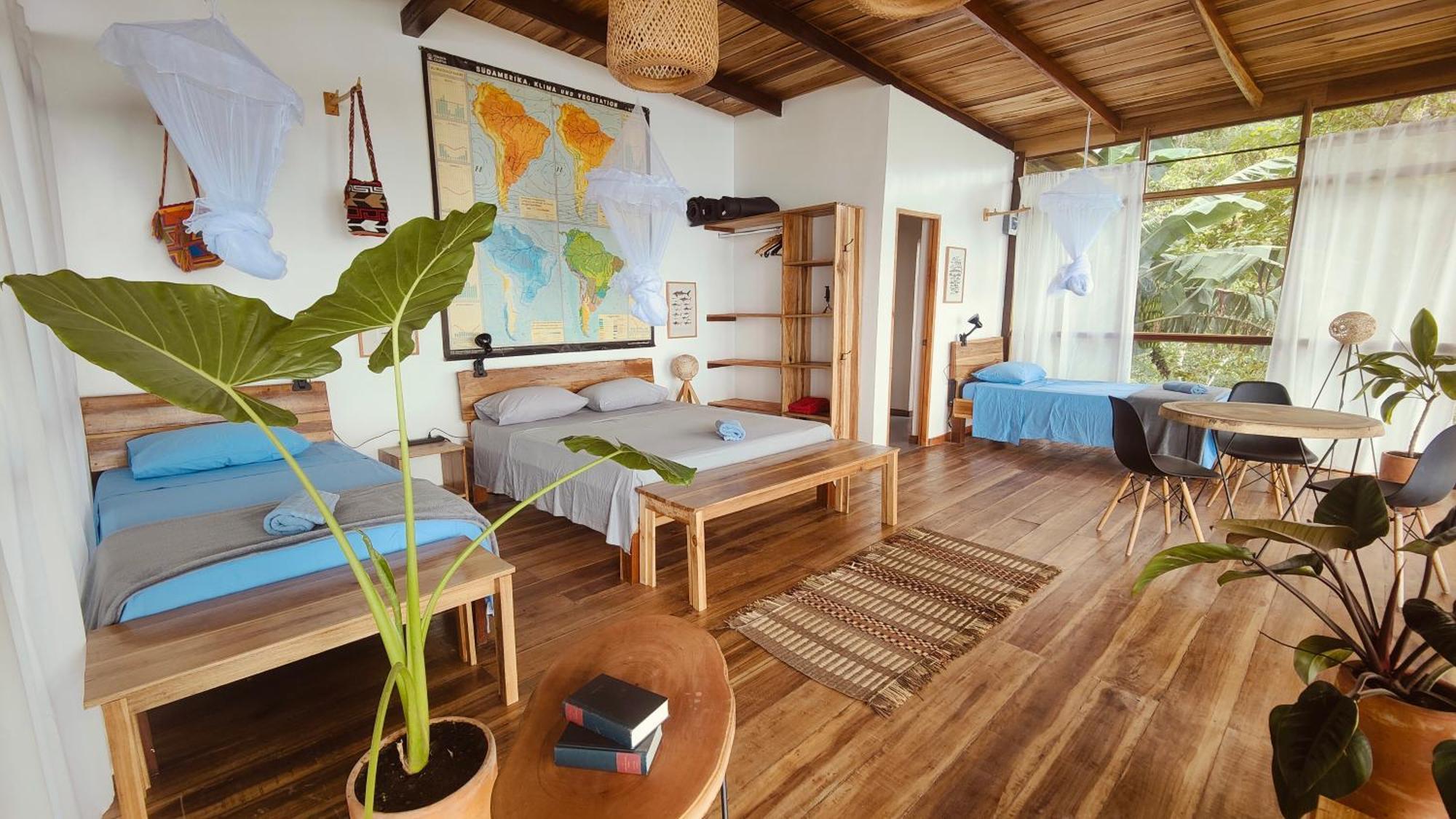 Minca Sintropia - Sustainable Lodge & Organic Coffee Finca 外观 照片