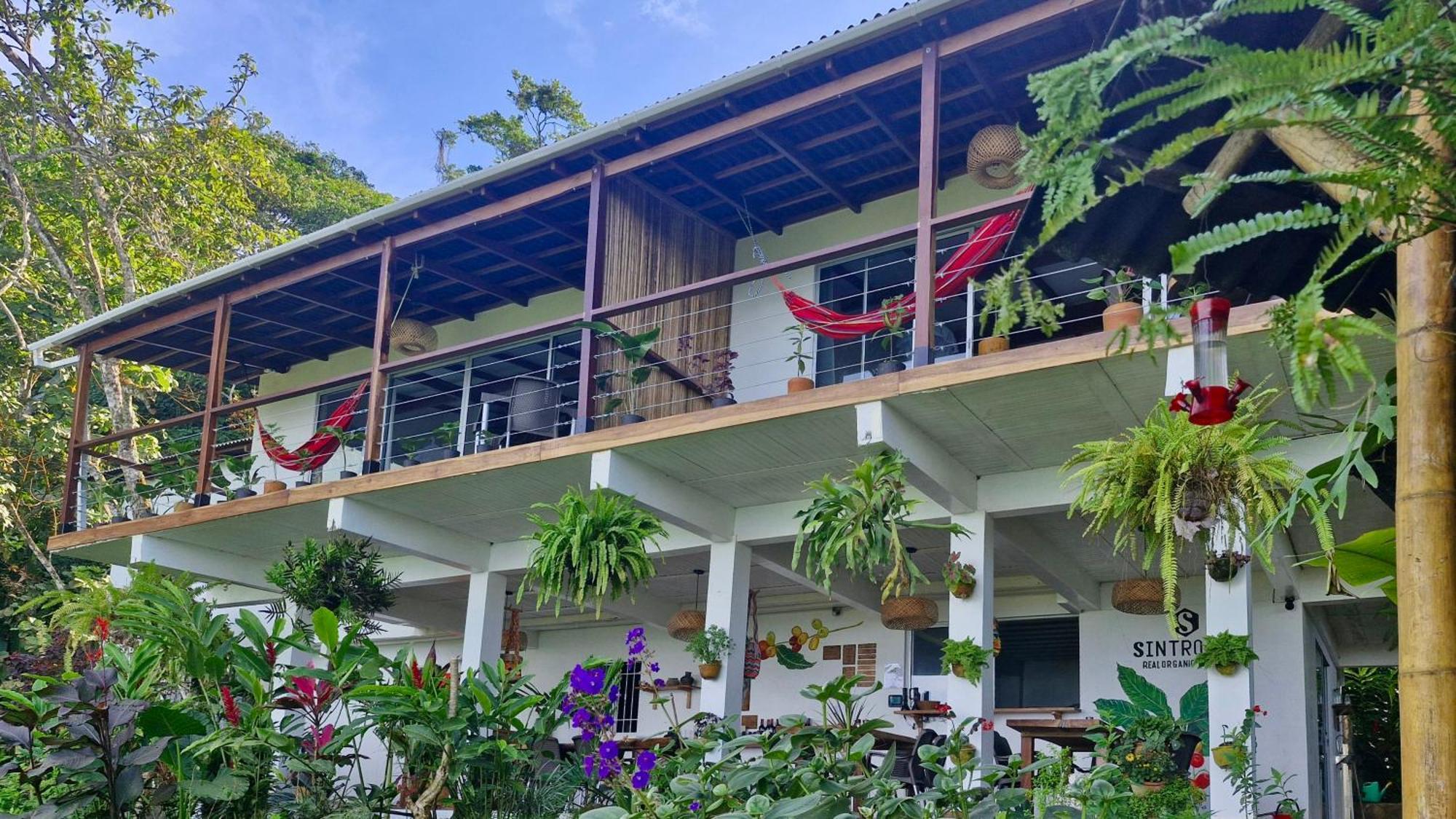 Minca Sintropia - Sustainable Lodge & Organic Coffee Finca 客房 照片