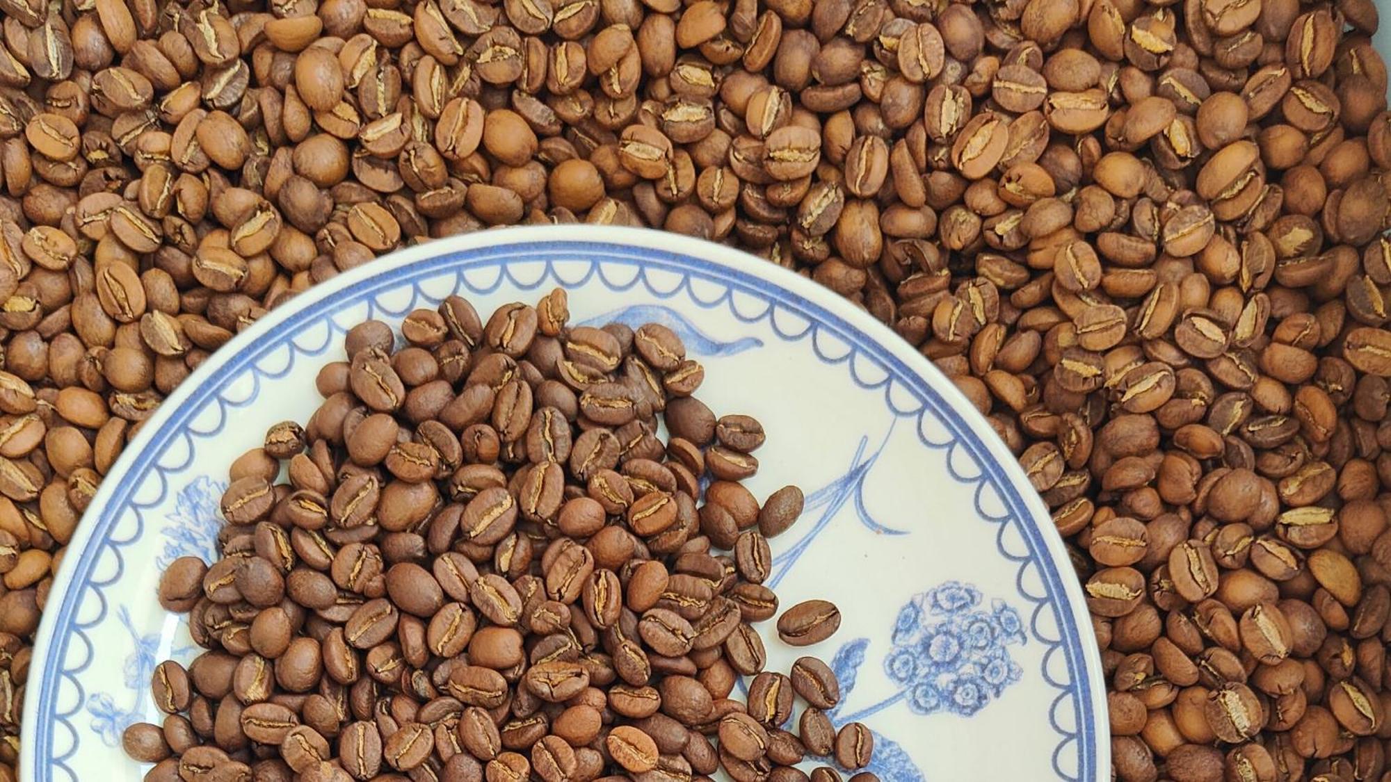 Minca Sintropia - Sustainable Lodge & Organic Coffee Finca 外观 照片
