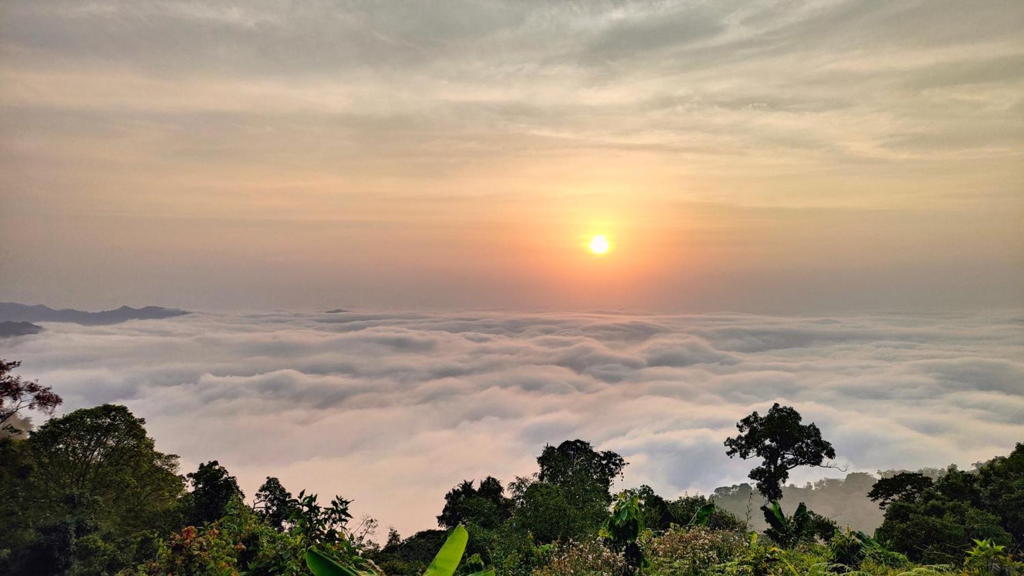 Minca Sintropia - Sustainable Lodge & Organic Coffee Finca 外观 照片